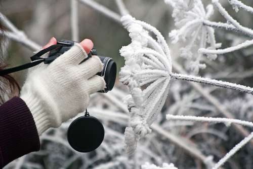 Camera Winter Frozen Icing Whites Frost Cold