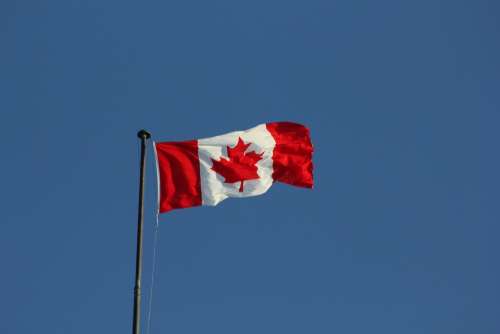 Canada Flag Flag Canada Pride Nation Symbol Maple