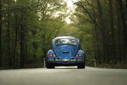 Car Classic Car Forest Outdoors Road Travel Trees