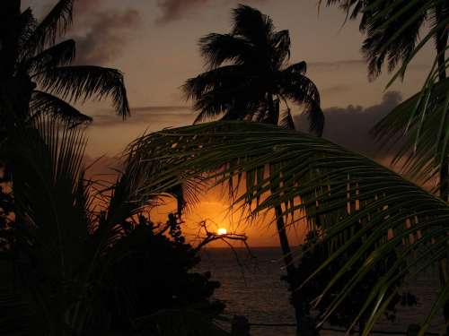 Caribbean Sunset Summer Travel Vacation Holiday
