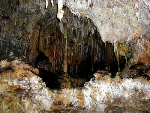 Carlsbad Caverns Caves Stalactite Cave Stalactites