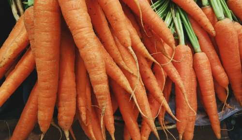 Carrots Vegetable Food Fresh Fresh Vegetables