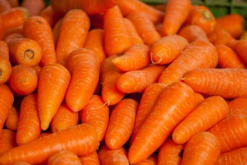 Carrots Vegetables Market Agricultural Cultivate