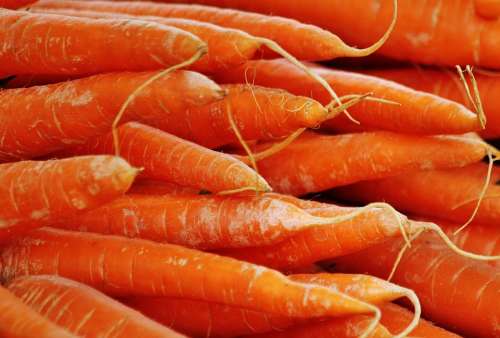 Carrots Vegetables Food Orange Plant Healthy