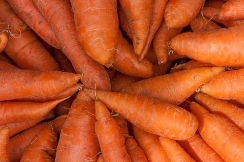 Carrots Fresh Food Cart Farmers Market Vegetable