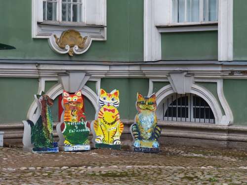 Cat St Petersburg Russia Image Tourism Facade