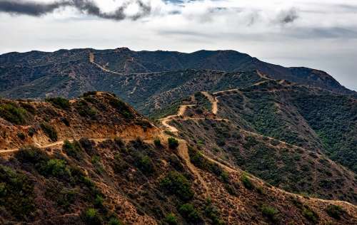 Catalina Island California Landscape Dirt Road