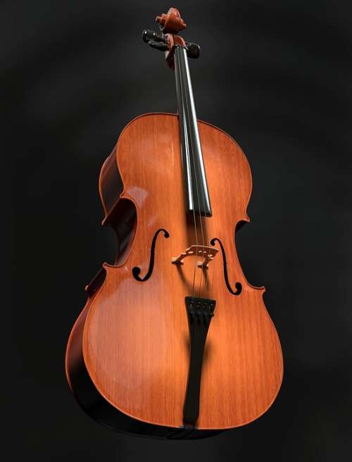 Cello Strings Stringed Instrument Wood Instrument