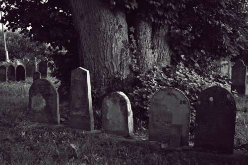 Cemetery Jewish Headstone