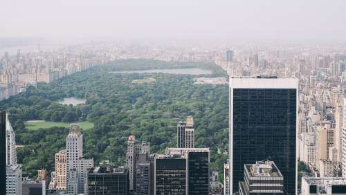 Central Park New York Nyc Manhattan New York City