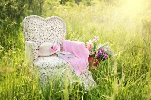 Chair In Field Floral Chair Pink Summer Nature