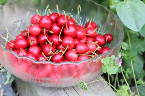 Cherries Love Fruit Summer Vitamins Nature Red