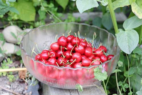 Cherries Goodness Heart Health Cherry Food
