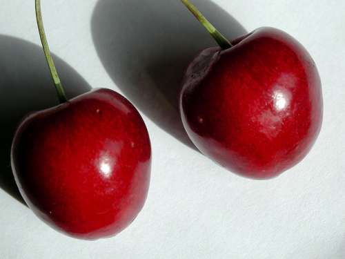 Cherries Close Up Macro Ripe Fruit Red Cherry