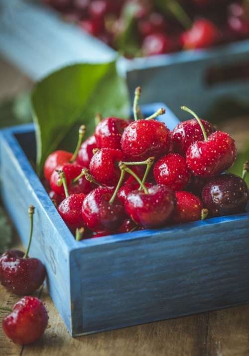Cherry Cherries Fruit Ripe Red Fresh