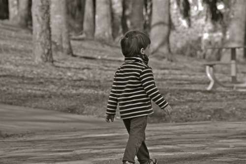 Child Boy Person Pullover Striped Park