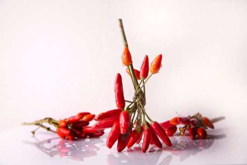 Chili Spice Chili Peppers Red Sharp Food