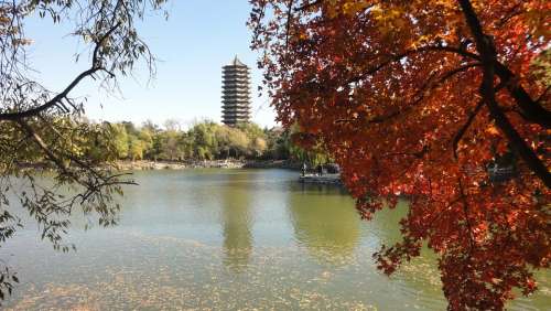 China Tourism The Scenery Autumn Red