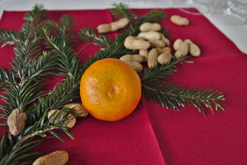 Christmas Mandarin Decoration Peanuts Deco Nuts
