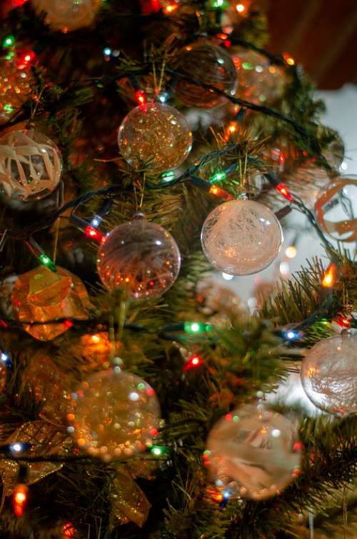 Christmas Tree Decoration Holidays Xmas Pine