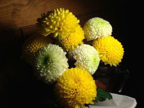 Chrysanthemum Flowers Kkotsong Blossom