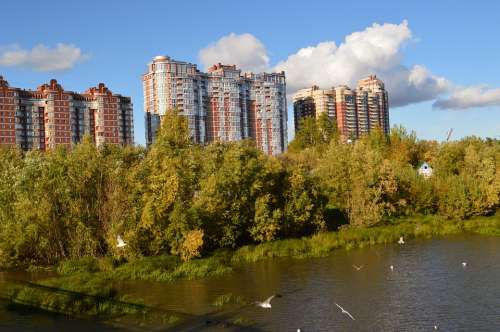 City Small River Nature Birds Forest Obloka