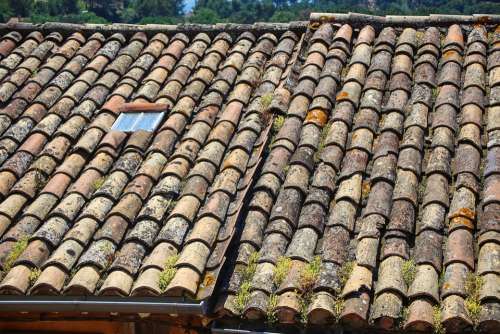 Clay Tiles Tile Lichen Patina Ceramic Old Building