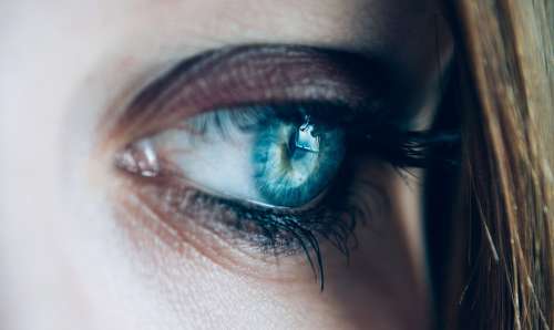 Close-Up Eye Eyelashes See Woman