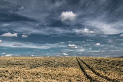 Clouds Field Landscape Nature Sky Wheat Summer