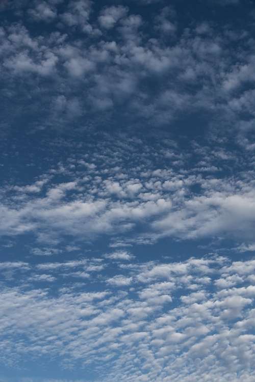 Clouds White Blue Fluffy Cirrocumulus Delicate