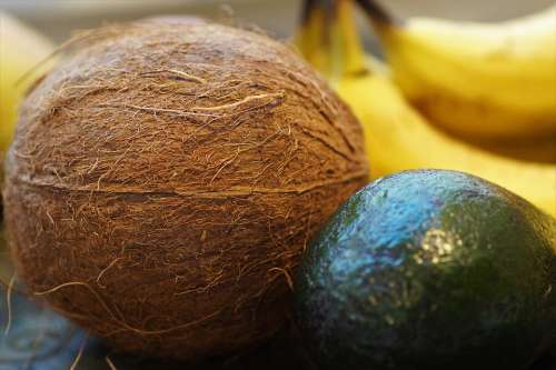 Coconut Walnut Tropical Exotic Fruit Hard Peel