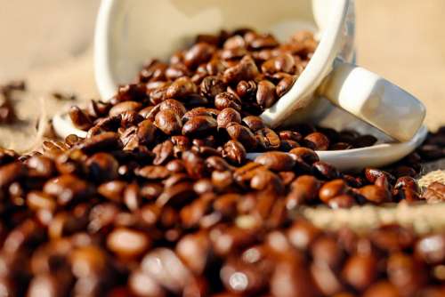 Coffee Coffee Cup Porcelain Coffee Beans