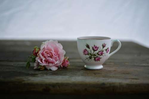 Coffee Cup Drink Flora Flower Hot Mug Table Tea