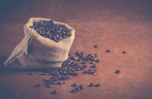 Coffee Beans Coffee Beans Aroma Dried Coffee Beans