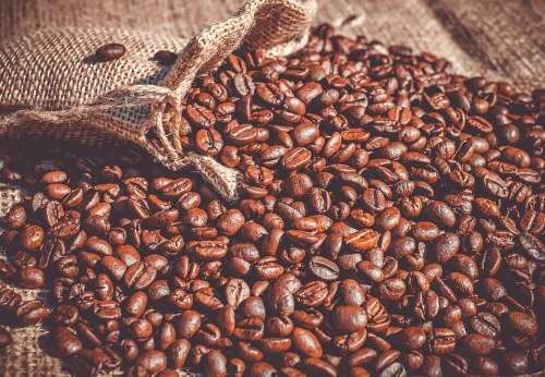 Coffee Coffee Beans Beans Roasted Caffeine