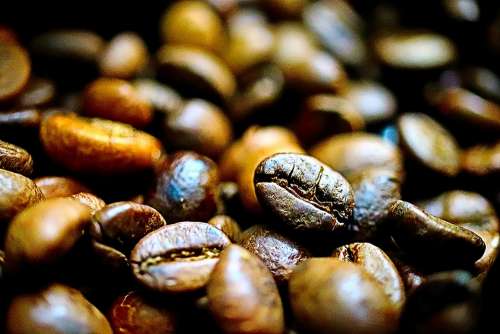 Coffee Bean Tabitha Espresso Cafe Background