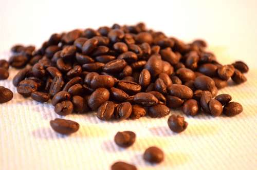 Coffee Beans Ethiopia
