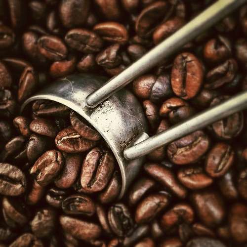 Coffee Coffee Beans Aroma Brown Hot Drink Roasting