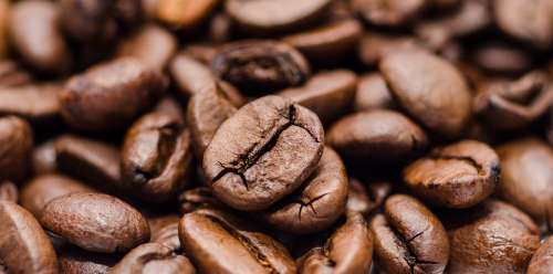 Coffee Beans Coffee Beans Drink Brown Espresso