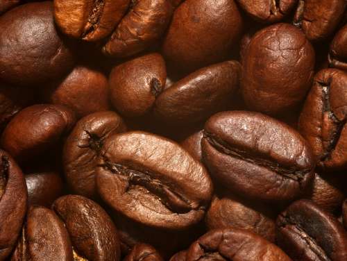 Coffee Beans Roasted Brown Caffeine Café Drink