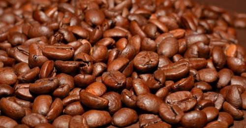 Coffee Beans Roasted Aroma Caffeine Roasting