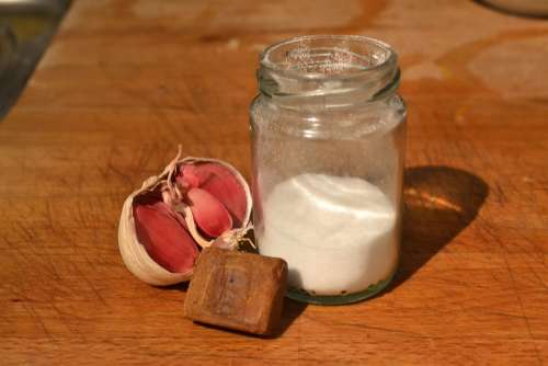 Cook Food Cooking Garlic Nutrition Salt Spice
