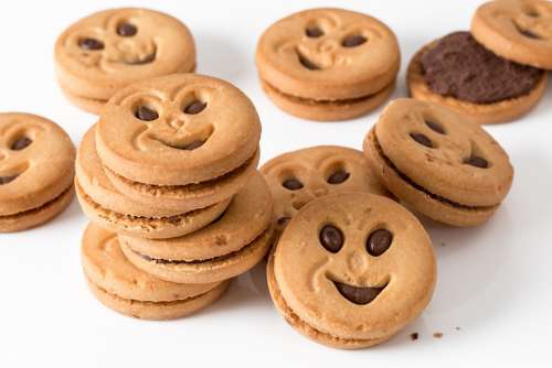 Cookie Biscuit Round Sweet Snack Carbohydrate