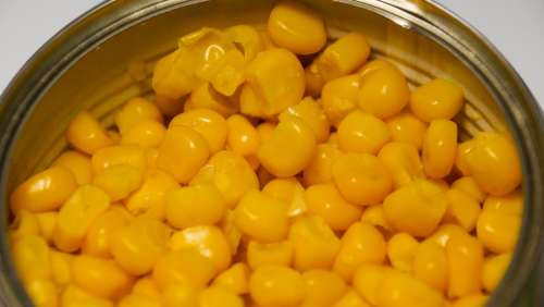 Corn Vegetable Food Can Kernels Yellow