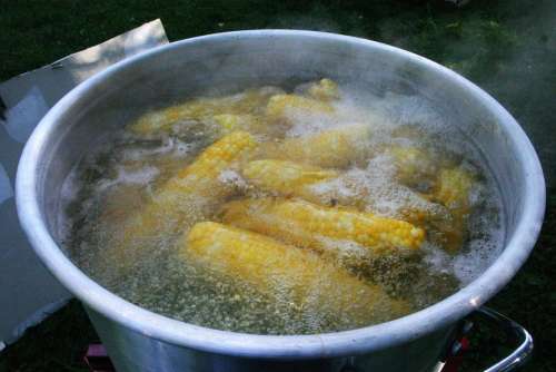 Corn Boiling Vegetable Organic Food Boiled