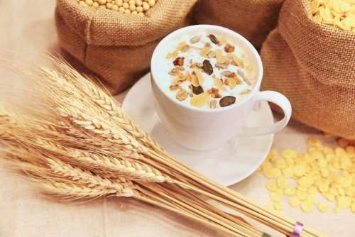Cereal Food Grain Healthy Fibres Oat Breakfast