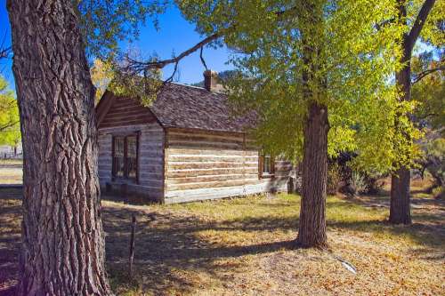 Cottonwoods And Abandoned Home Ghost Town Bannack