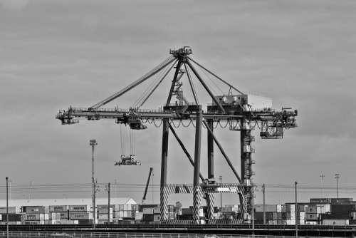 Crane Harbor Black And White Industrial
