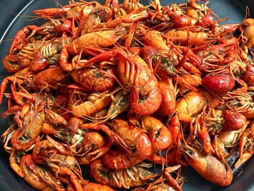 Crawfish Seafood Crayfish Cajun Louisiana Food