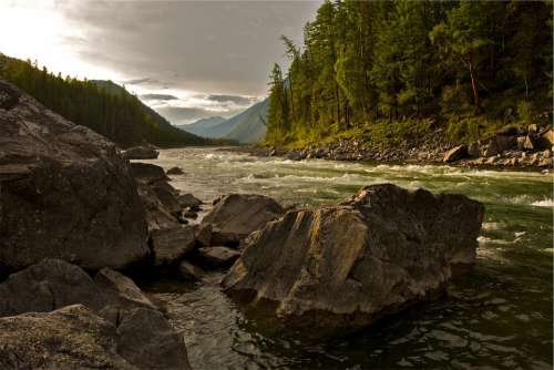 Creek River Stream Nature Landscape Forest Water